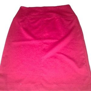 New York & Company Skirt 2156